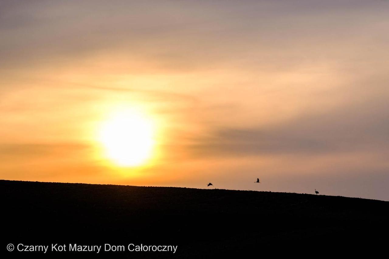 Czarny Kot Mazury Dom Caloroczny Villa Malkinie Exteriör bild