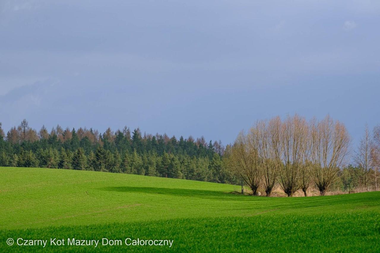 Czarny Kot Mazury Dom Caloroczny Villa Malkinie Exteriör bild
